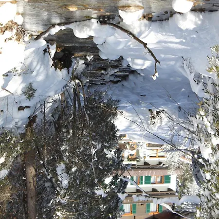 Otto Steiner & Wilder Kaiser 3* 엘마우