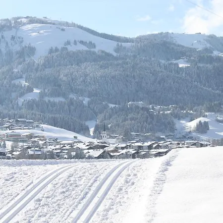 Otto Steiner & Wilder Kaiser 게스트하우스 엘마우