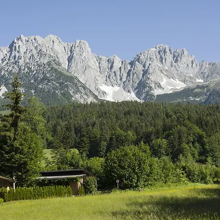 Otto Steiner & Wilder Kaiser Pensión