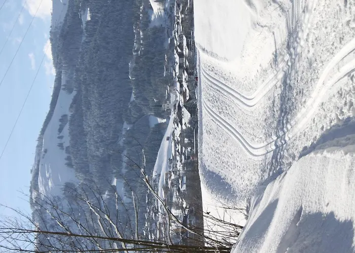 Otto Steiner & Wilder Kaiser