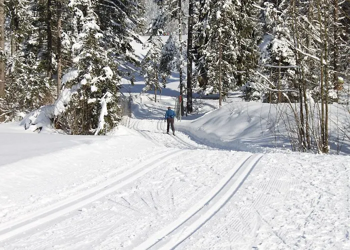 Otto Steiner & Wilder Kaiser 3* Ellmau