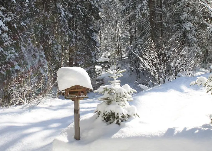 Otto Steiner & Wilder Kaiser Ellmau