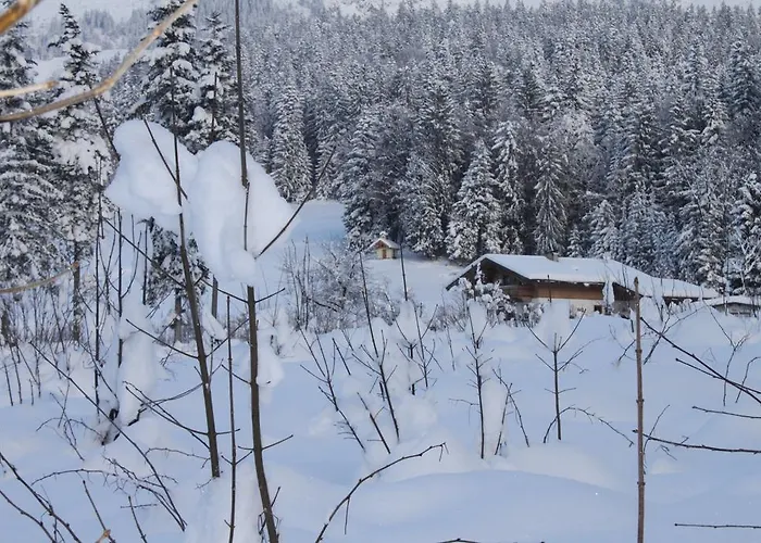 Gasthof Otto Steiner & Wilder Kaiser Ellmau