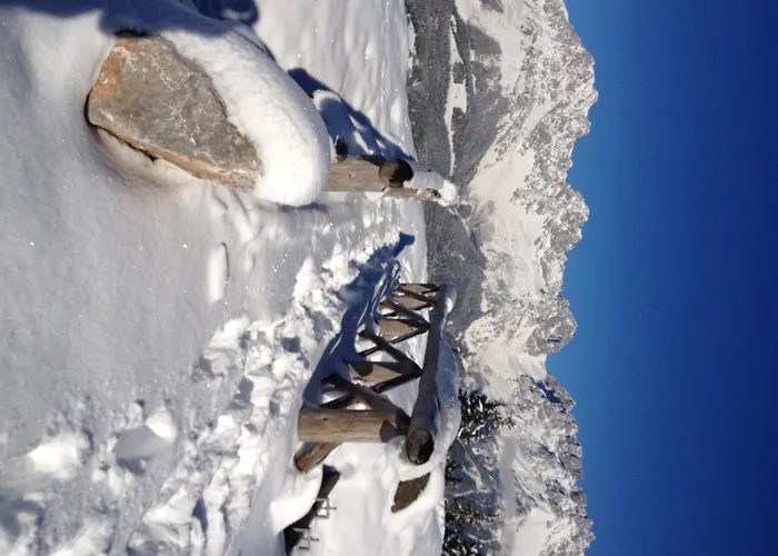 Otto Steiner & Wilder Kaiser 3*