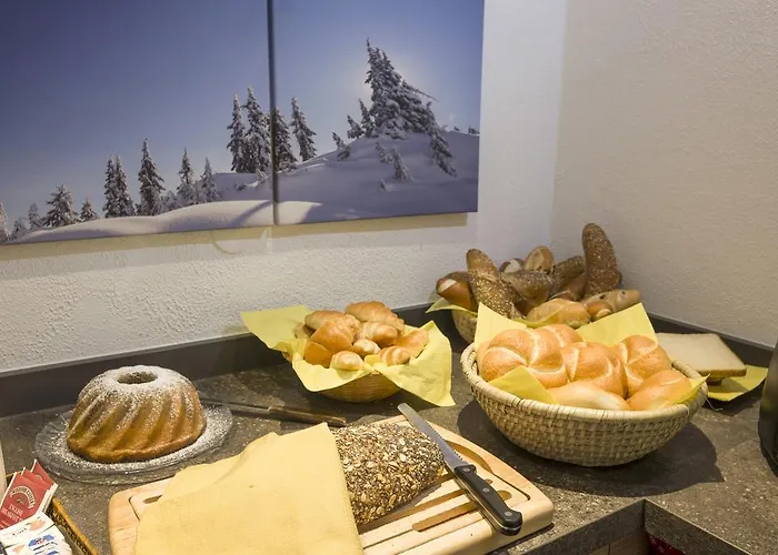 Pensión Otto Steiner & Wilder Kaiser 3*