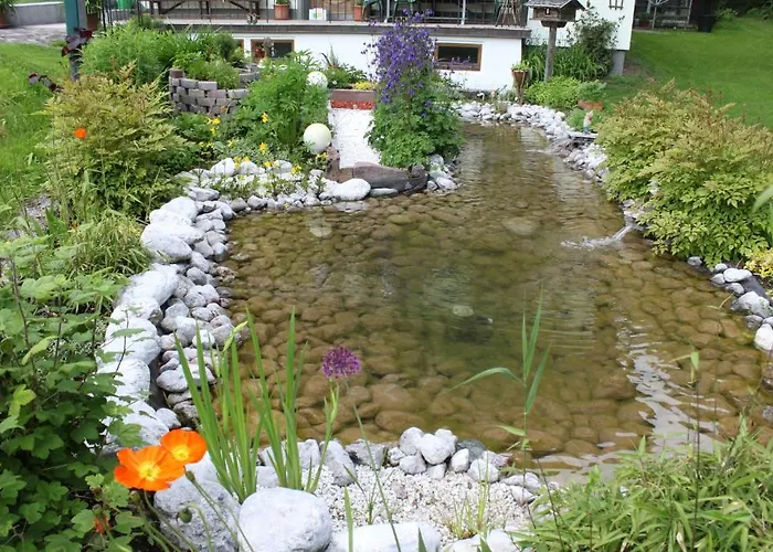 Pensión Otto Steiner & Wilder Kaiser