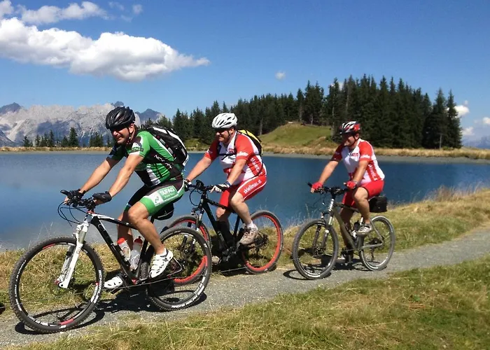 Otto Steiner & Wilder Kaiser Pensión 3*