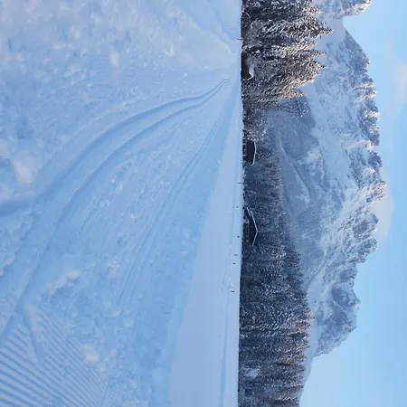 Otto Steiner & Wilder Kaiser Konukevi Ellmau