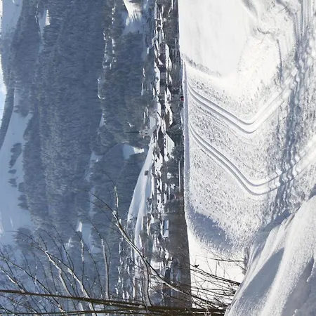 Otto Steiner & Wilder Kaiser