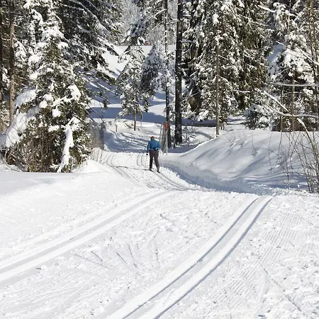 Otto Steiner & Wilder Kaiser 3* Ellmau