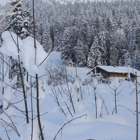 Konukevi Otto Steiner & Wilder Kaiser Ellmau