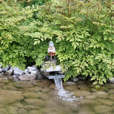 Otto Steiner & Wilder Kaiser